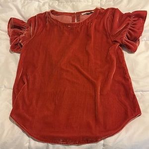 Loft Velvet Blouse
